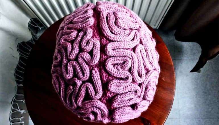 A pink knitted hat that looks like a brain