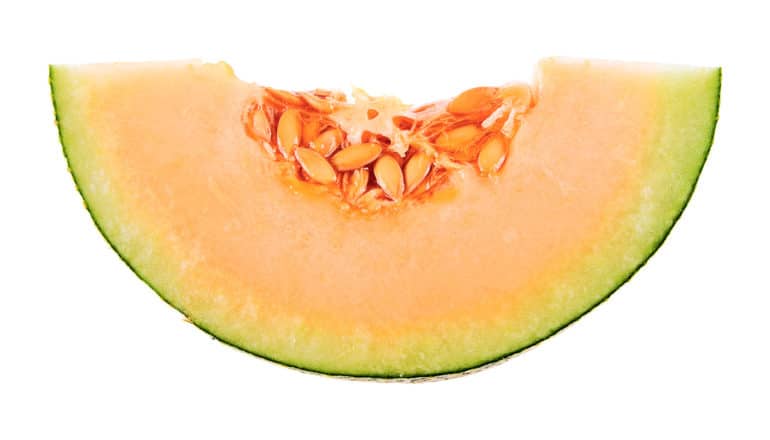 wedge of cantaloupe