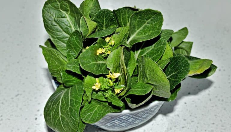 leafy green vegetable with small yellow flowers in bowl