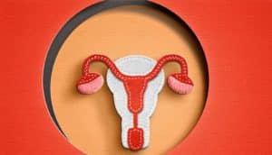 paper uterus on detached circle within larger rectangle