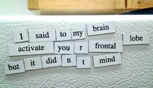 Fridge magnets make the sentence "I said to my brain, activate your frontal lobe, but it didn't mind."