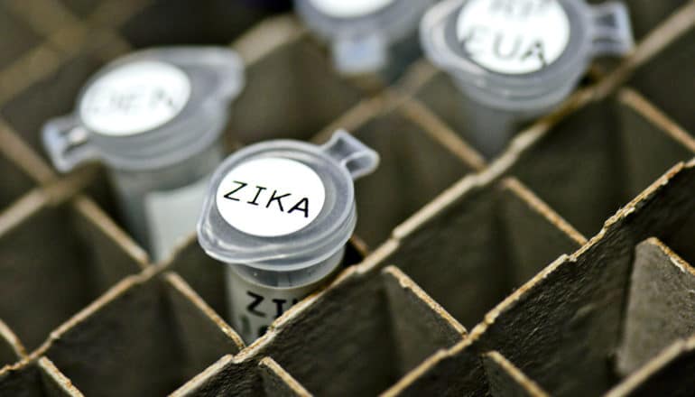 A vial of Zika virus labeled and sitting in a cardboard holder