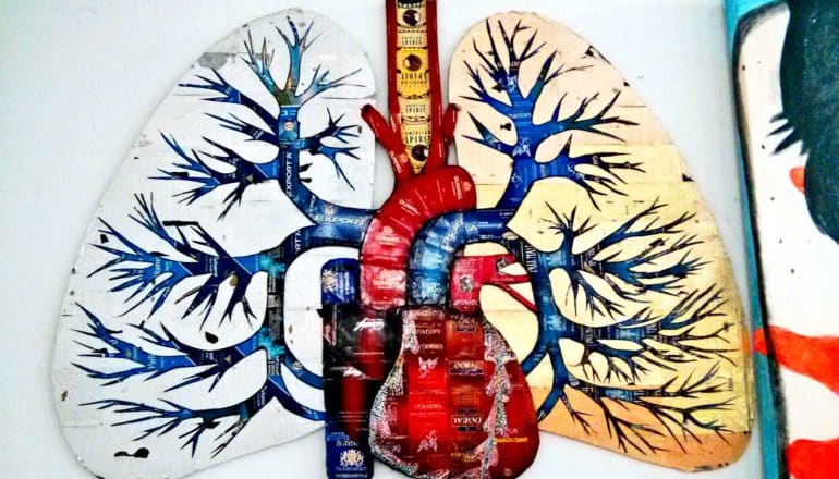 An art piece depicts lungs made from cigarette boxes