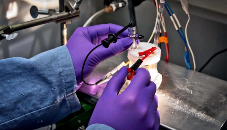 A researcher wearing purple gloves tests the artificial photosynthesis device while holding a small red clamp