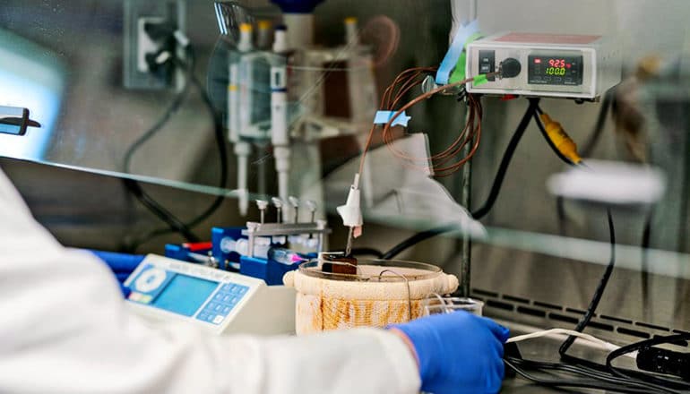 A researcher looks at a shielded experiment