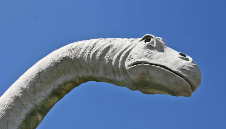 head of apatosaurus statue against blue sky