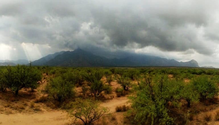 arid landscape with scrubby bushes in foreground; mountains with monsoon clouds in background