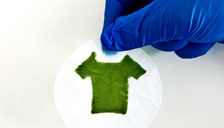 A researcher holds a white, circular sheet with a green t-shirt shape on it