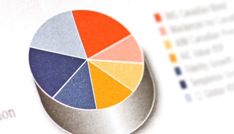 pie chart with blurry text