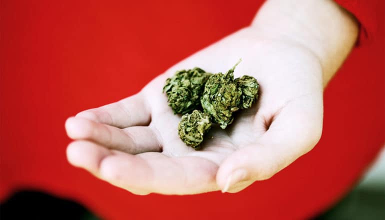 A woman wearing red holds marijuana in her hand