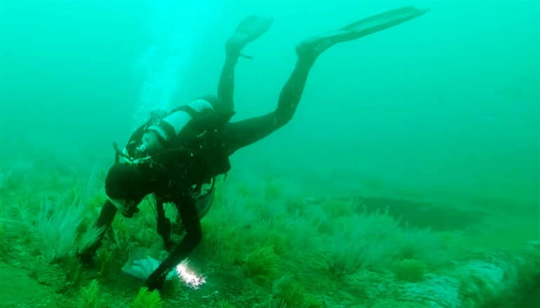 diver in hazy green water