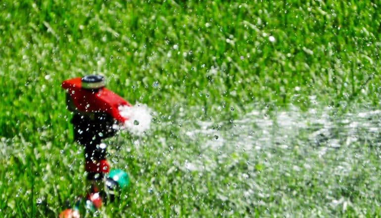 A sprinkler sprays water onto a green lawn