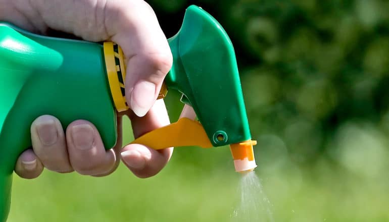 A woman sprays weeds with a green spray bottle