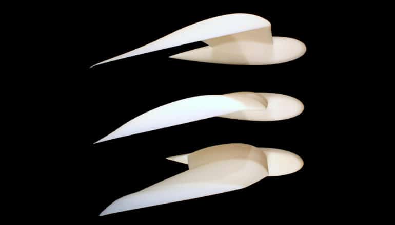 Visualizations of bird wings changing shape against a black background