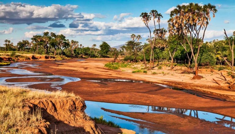 A river has just a bit of water left in it and is mostly dried up