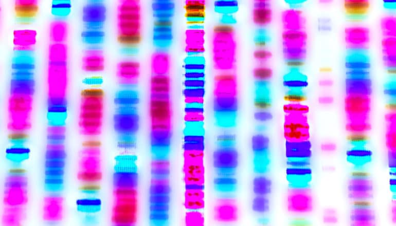 colorful DNA sequencing