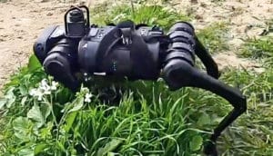 A four-legged black robot walks through grass