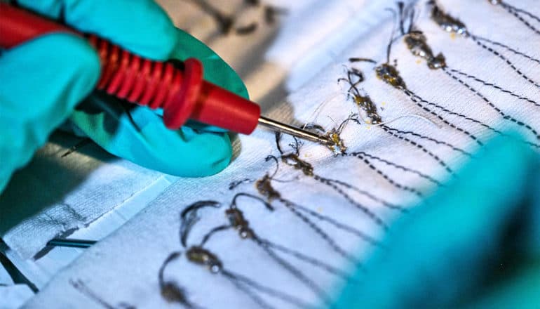 A researcher weaving carbon nanotube fibers into fabric