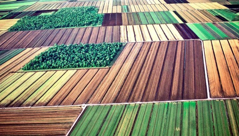 Farm fields of different shades of green and yellow seen from the air