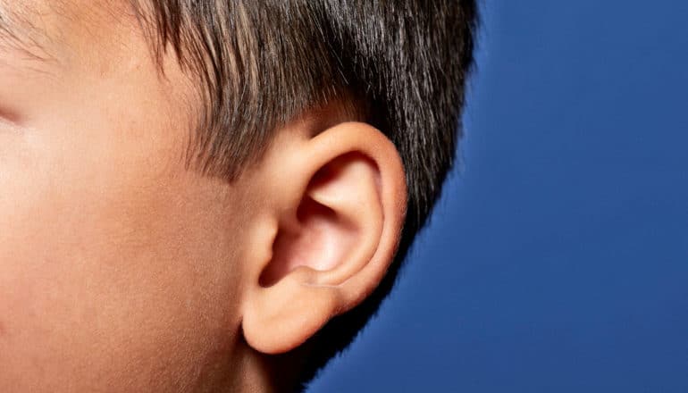 side view of child's head with ear