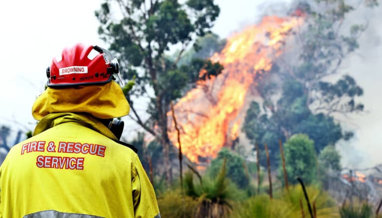 A firefighter in yellow protective jacket and red helmet looks at a tree on fire