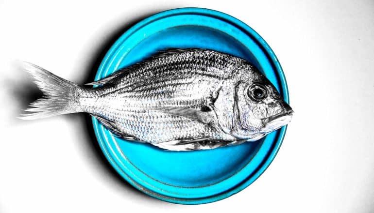 silver fish on blue plate