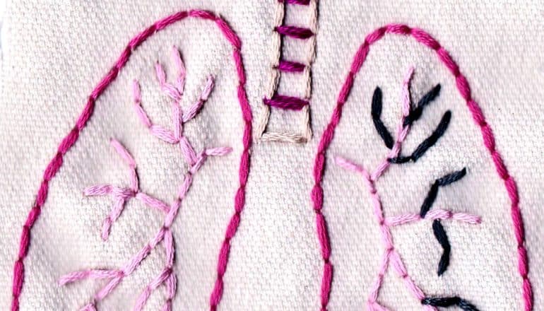 Lungs are stitched in pink thread on a white canvas