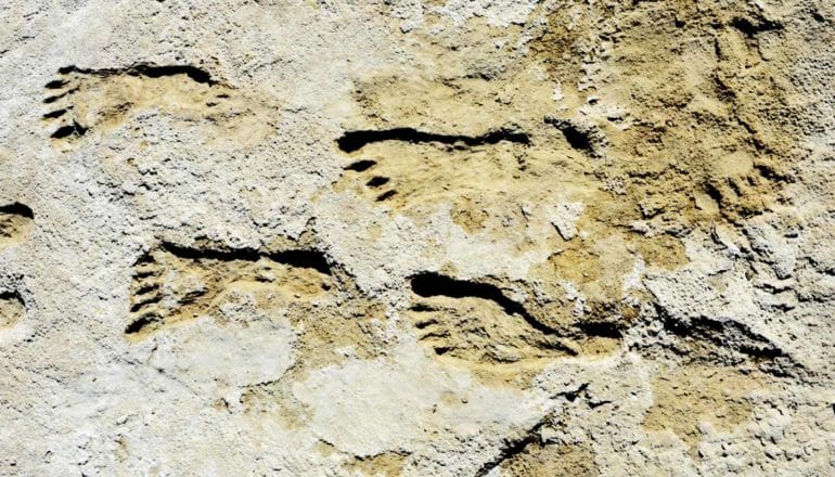 Human footprints in yellow-ish stone