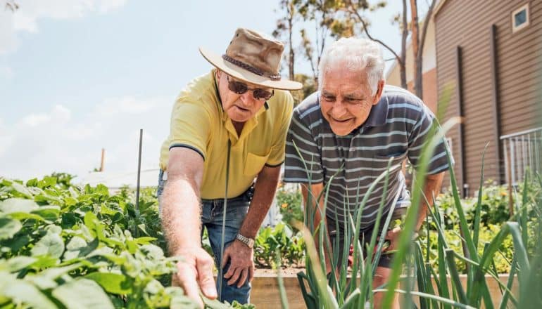 two older adults lean to examine plant in garden