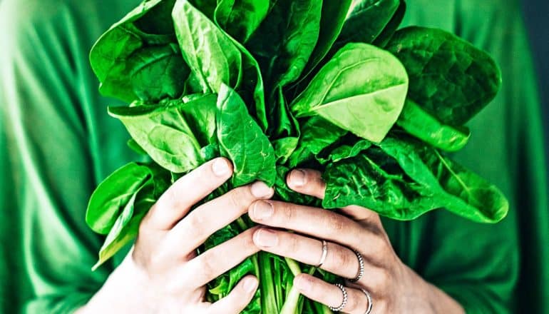 A person wearing green holds a bunch of green spinach leaves