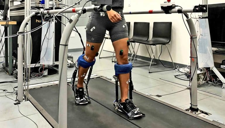 A research subject walks on a treadmill while wearing exoskeleton devices on her legs