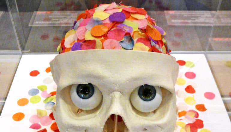 eyes in skull look up at confetti brain