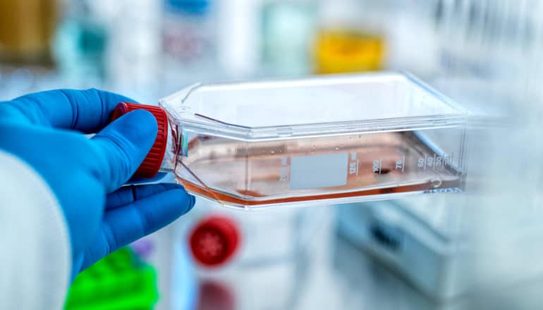 gloved hand holds lab flask with pink liquid inside