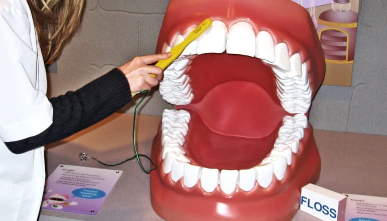 A dentist uses an oversize tooth bruth to brush a giant model of teeth and gums