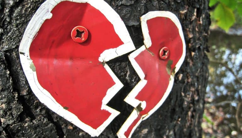 Two metal pieces screwed to a tree depict a broken heart