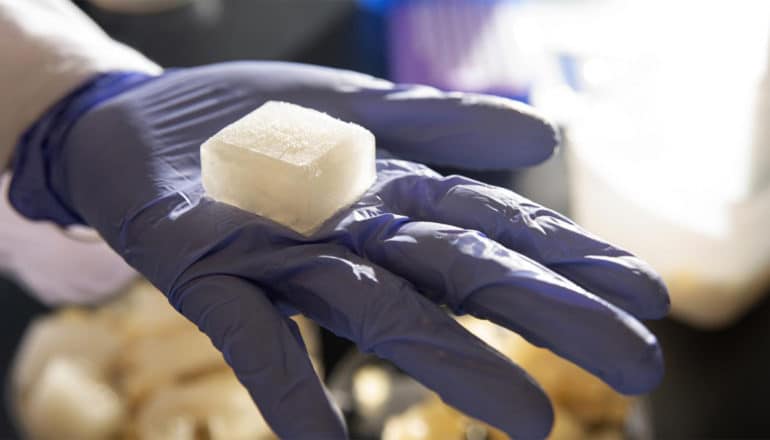 A researcher wearing a purple glove holds the jelly-like ice cube alternative in their palm