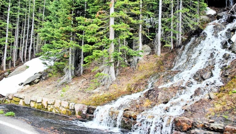 Melted snow pours down a tree-covered hillside onto a road