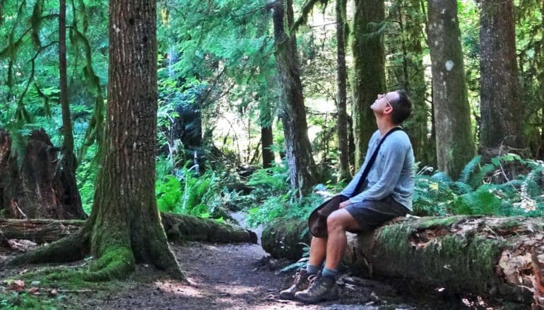 A man sits on a fallen tree looking up into a forest canopy