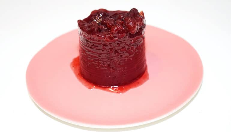 Cranberry sauce from a can sits on a small pink plate on a white background