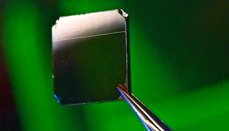 Tweezers hold a small square coated in the perovskite compound