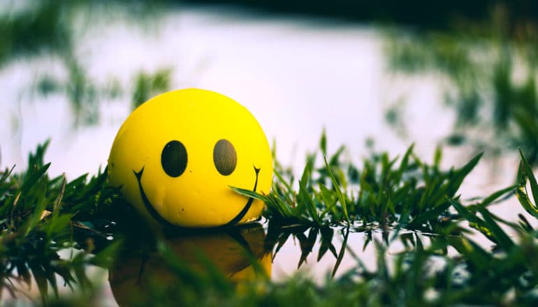 smiley face ball in water with grass