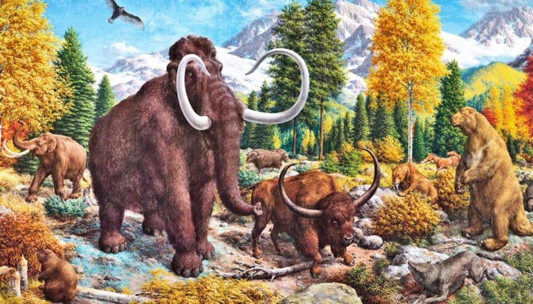 The mural shows many mammals in a forest setting, including a bison, wooly mammoth, and saber tooth tigers