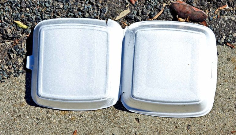 A styrofoam container on the ground