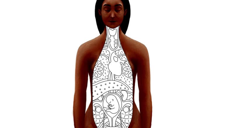 overlay of b/w cis-female anatomy drawing over torso of dark-skinned person