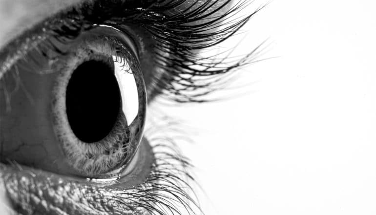 A black and white close up of a person's eye