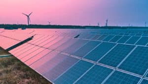 Solar panels look pink and blue at sunset