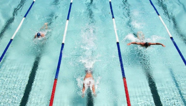 Three swimmers race in a pool