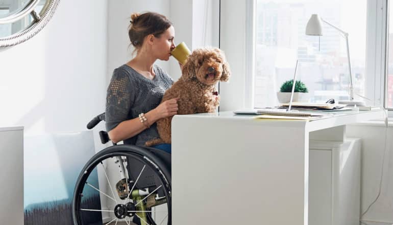 adult sits at desk in wheelchair with dog on lap