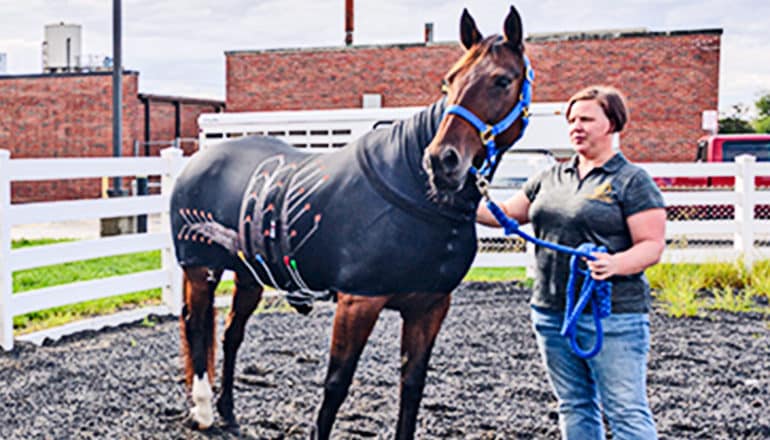 A horse wears a black fabric slicker around its body with visible electronics embedded in the fabric