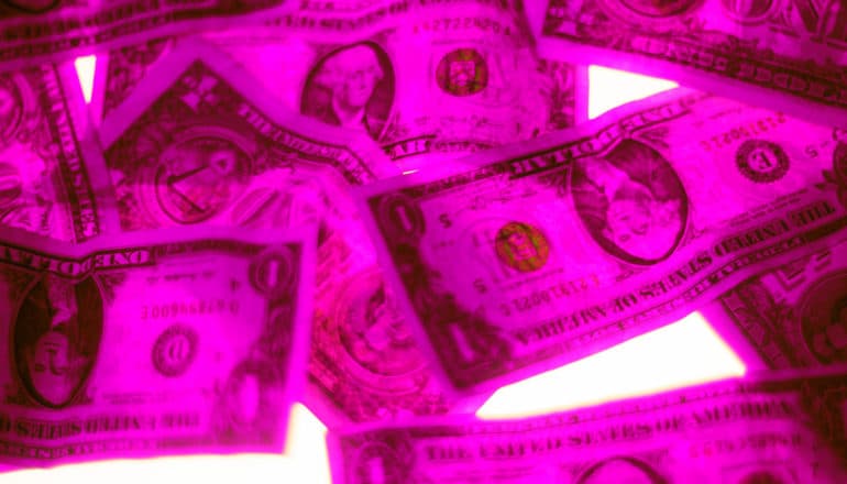 hot pink dollar bills